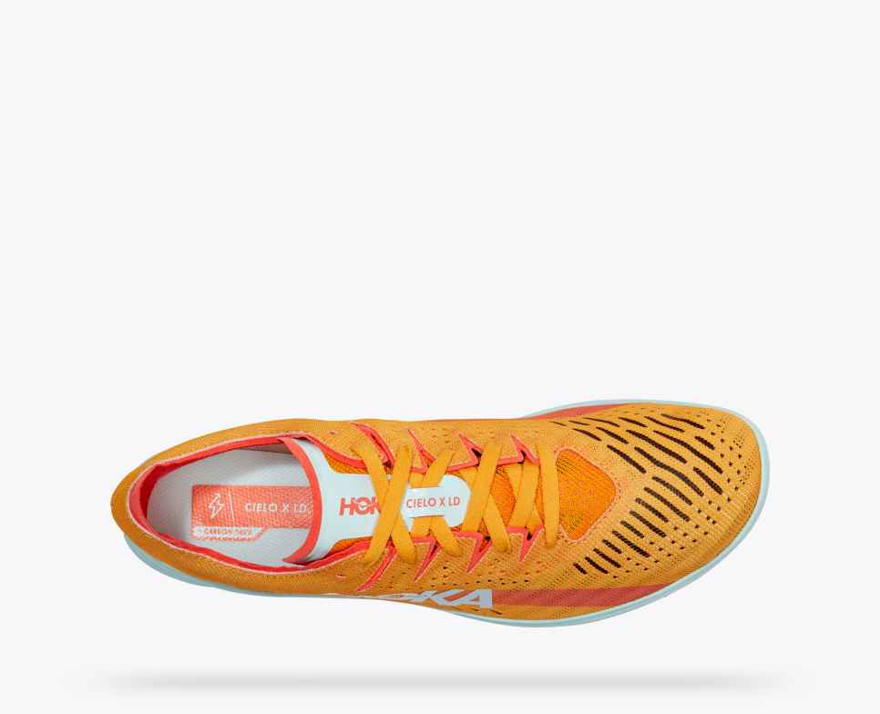 All Gender Cielo X LD