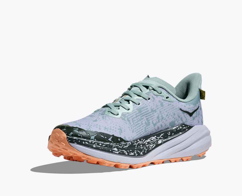 Women’s Speedgoat 6 GTX