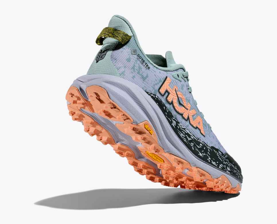 Women’s Speedgoat 6 GTX