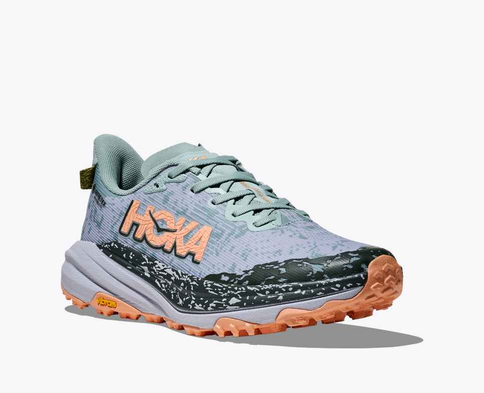 Women’s Speedgoat 6 GTX