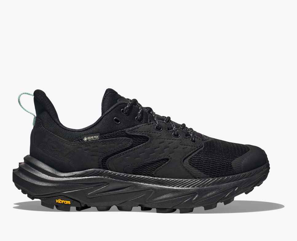 Women’s Anacapa 2 Low GTX