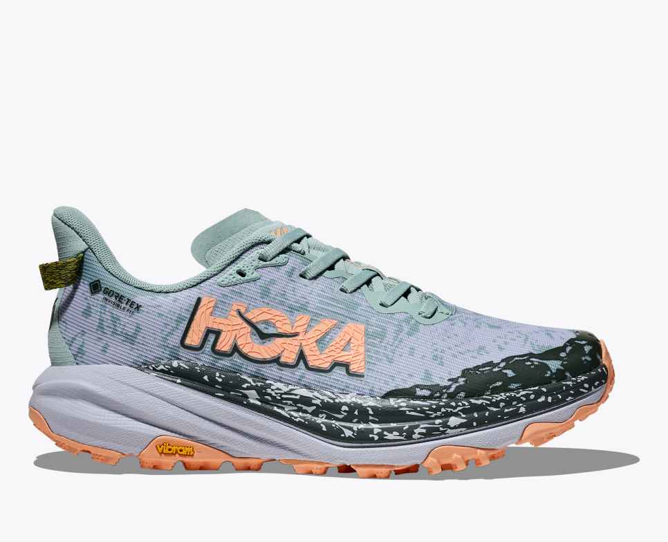 Women’s Speedgoat 6 GTX
