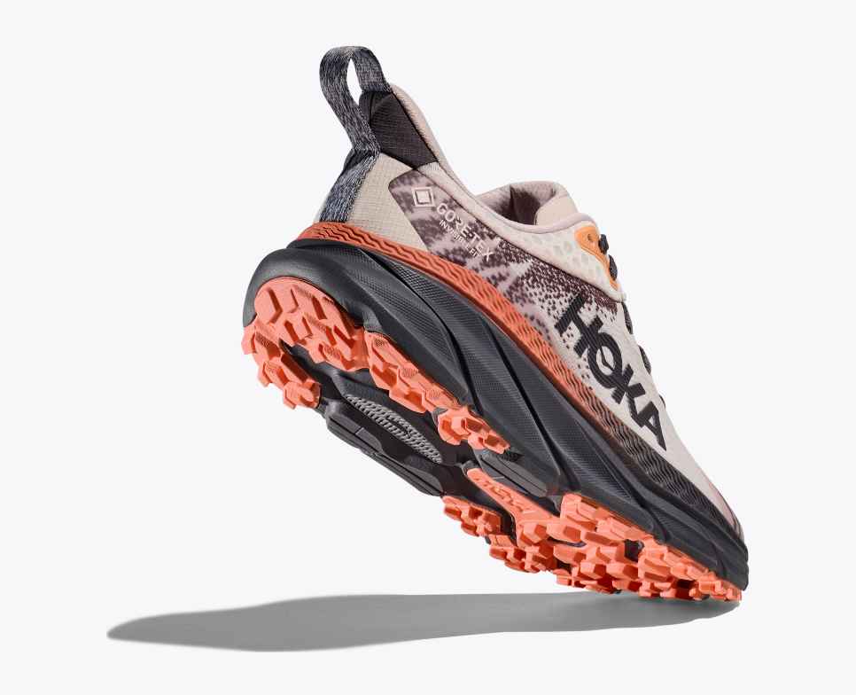 Women’s Challenger 7 GTX