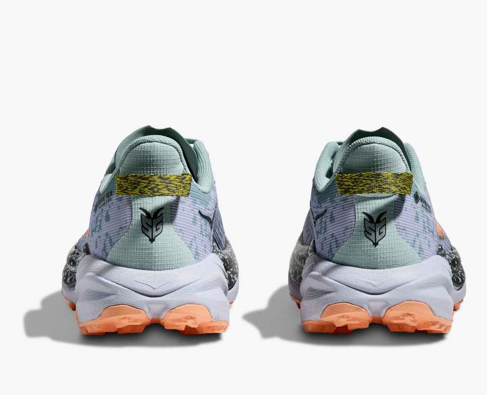 Women’s Speedgoat 6 GTX